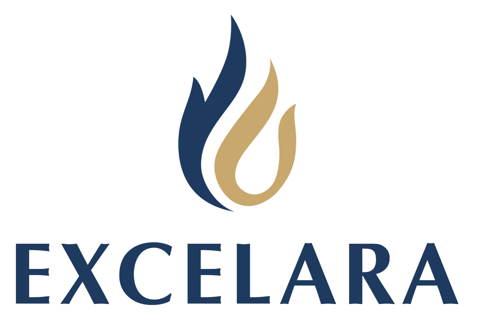Excelara logo